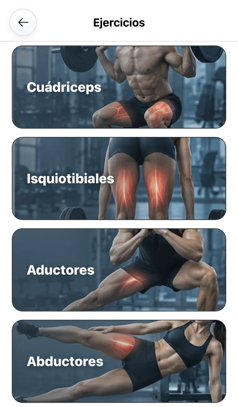 Grupos musculares de tren inferior